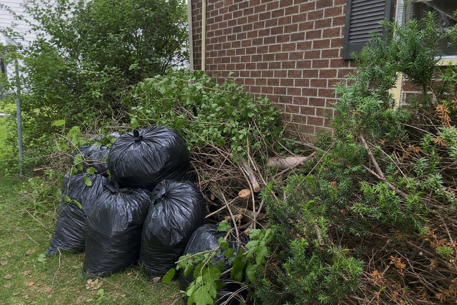 Example of yard waste removal work